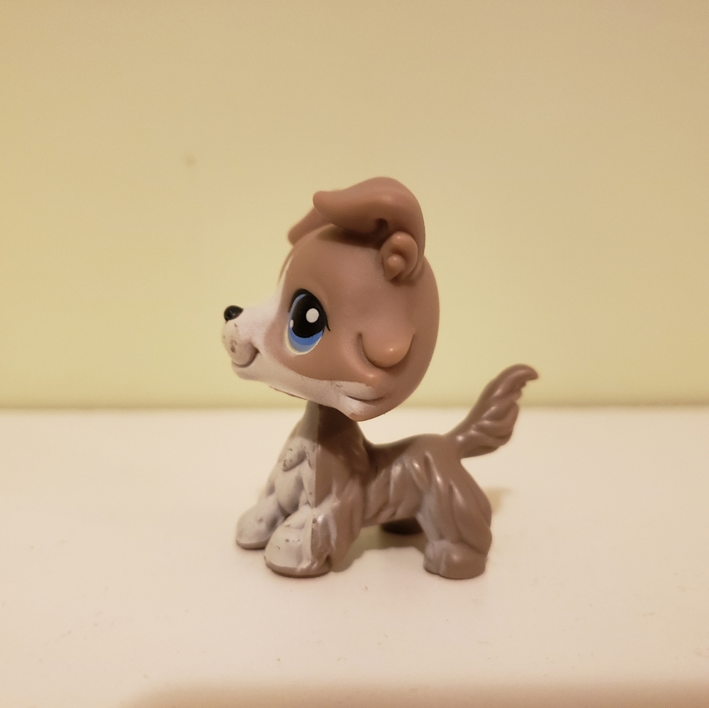 Authentic collie #67 - Picture 2 of 5